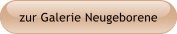 zur Galerie Neugeborene
